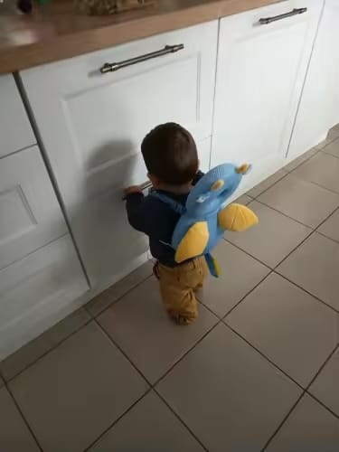 Customer photo review of Mochila protectora de cabeza para bebé