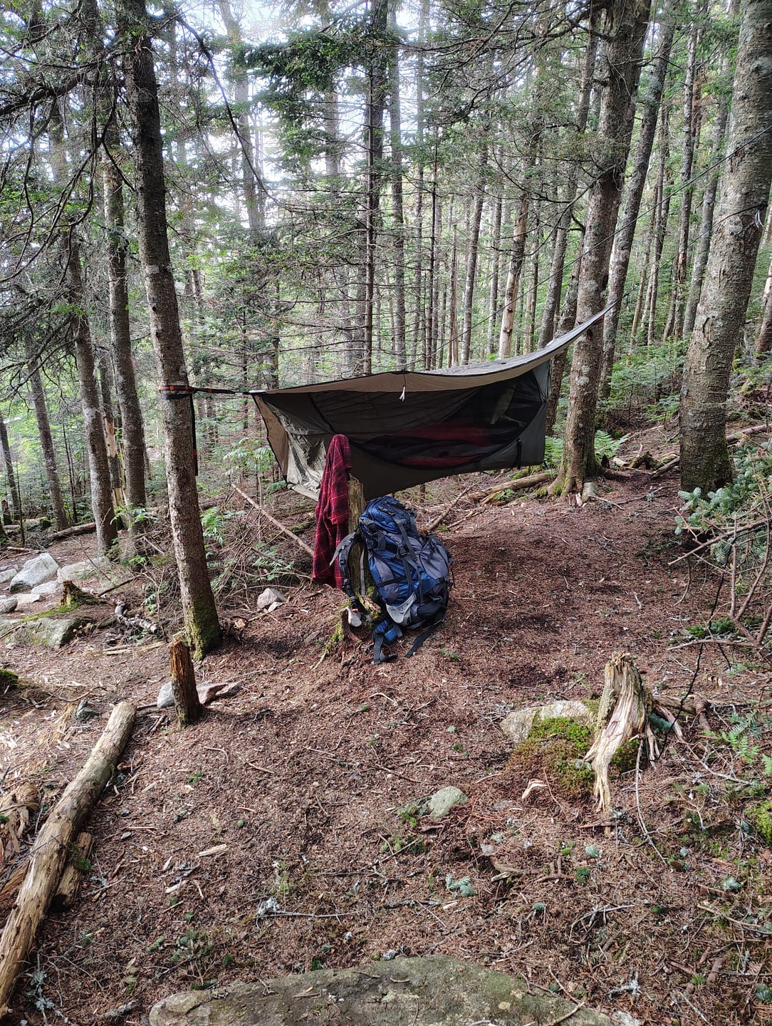 Customer photo review of Haven Tent Pad