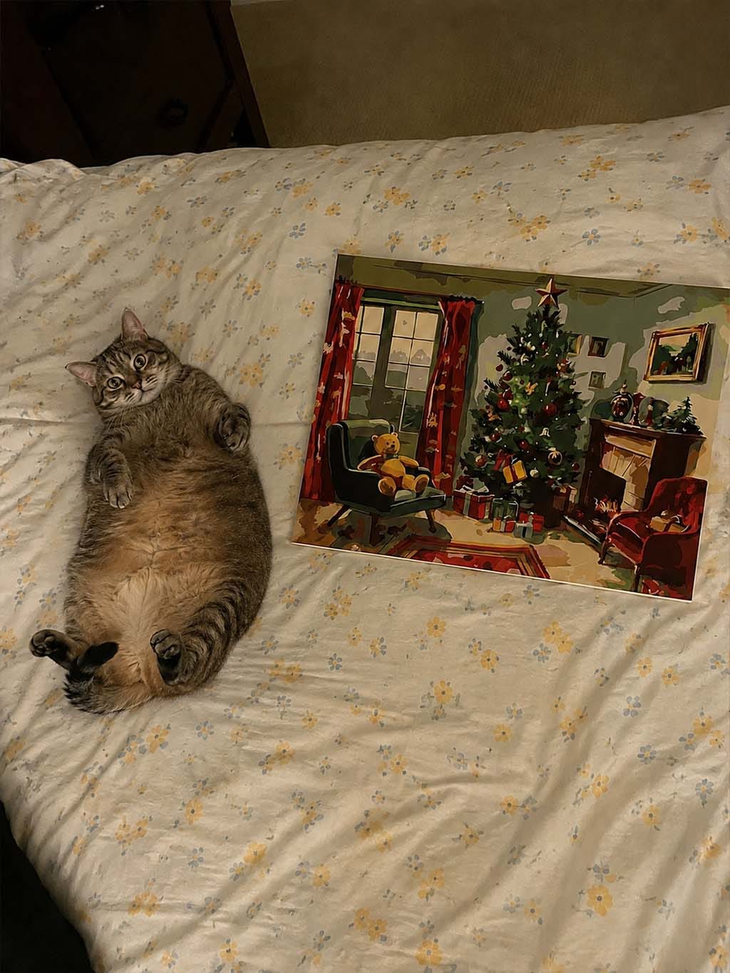 Customer photo review of Cheminée de Noël Classique