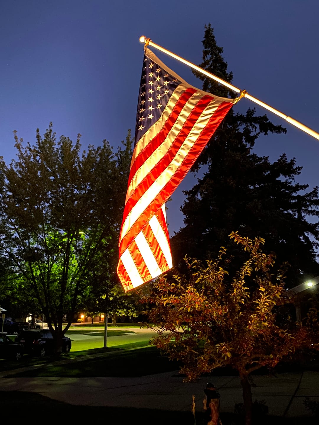 Customer photo review of 3' x 5' American Flag Set