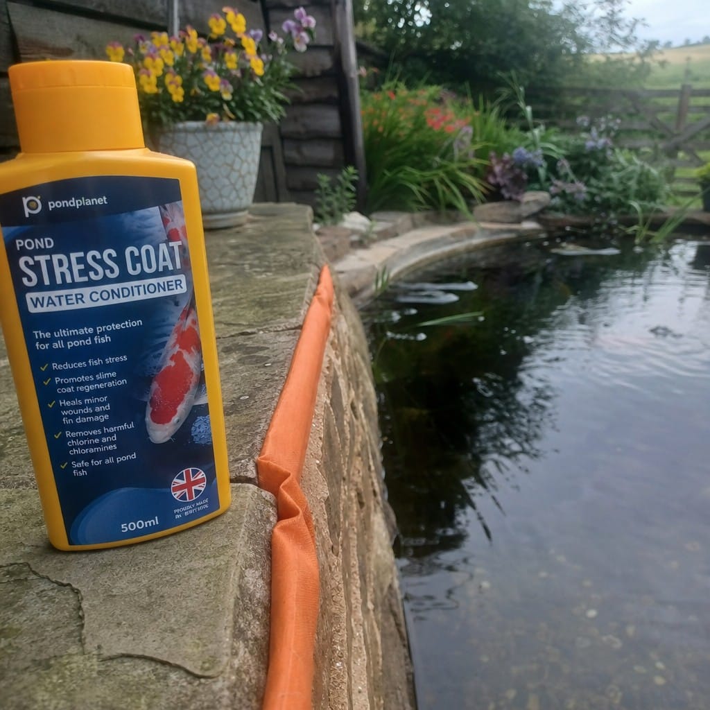 Customer photo review of Pond Stress Coat Water Conditioner UK | Reduces Fish Stress | Heals Wounds | Tap Water Safe
