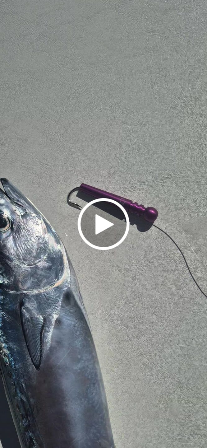 Customer video review of Dorado Stick
