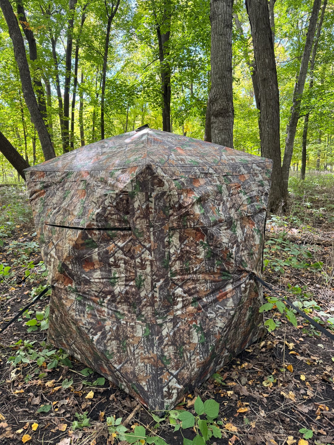 Customer photo review of VisTall 360 See-Through Ground Blind | 75-Inch 3 Person Pop Up Deer Blind with No-Trip Door | Portable Camo Hunting Blind with Blackout Curtain for Whitetail Deer Hunting