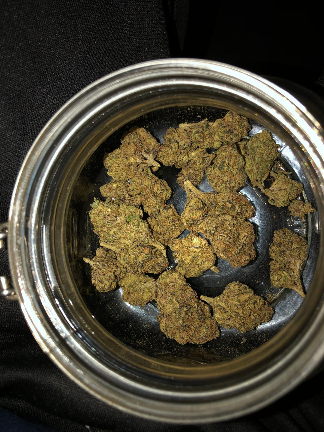 Customer photo review of Gumbo Light Dep THCA Flower