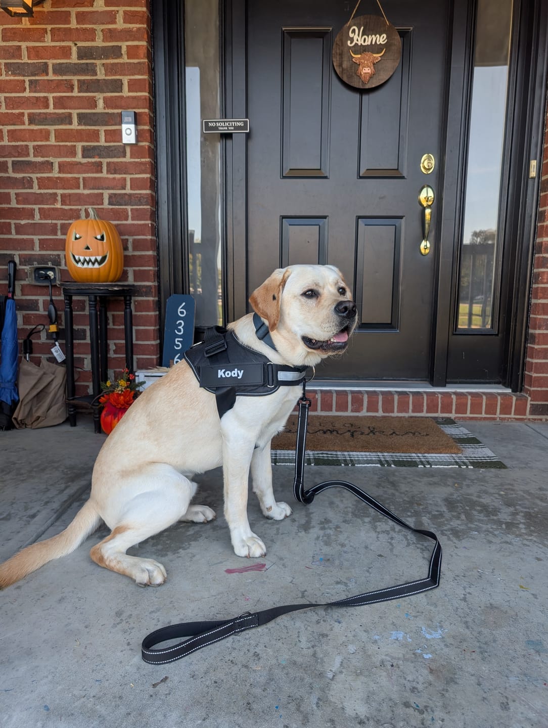Customer photo review of SCOBYDOG No Pull Harness