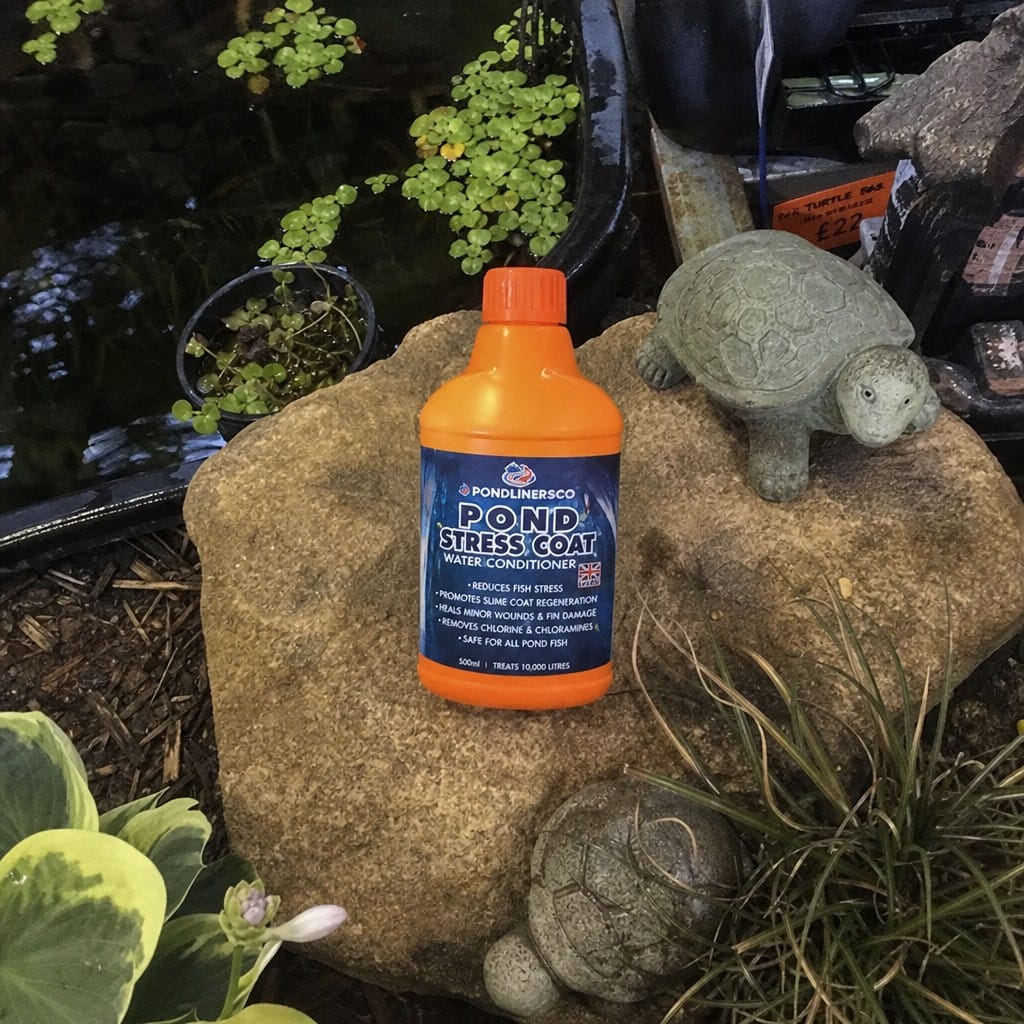 Customer photo review of Pond Stress Coat Water Conditioner UK | Reduces Fish Stress | Heals Wounds | Tap Water Safe