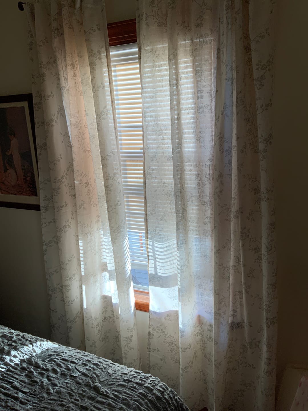 Customer photo review of Vine Blossom Linen Blend Curtains (2 Panels)