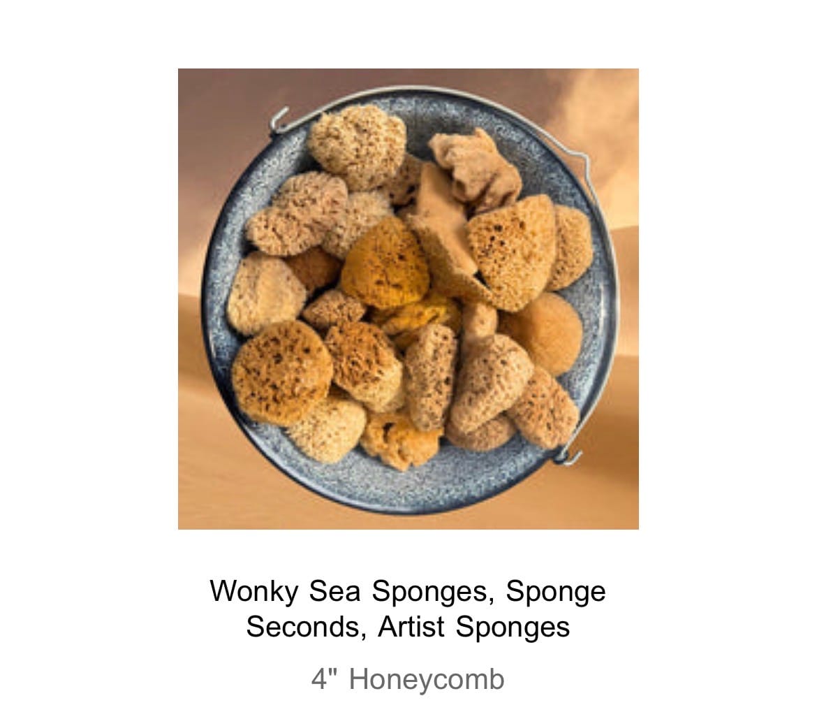 Customer photo review of Wonky Sea Sponges, Sponge Seconds, Artist Sponges