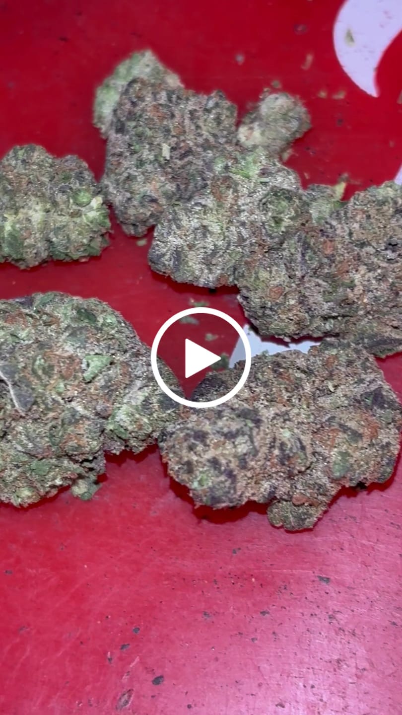 Customer video review of Toad Crossing THCA Flower