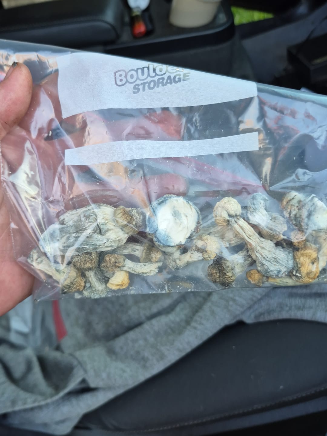 Customer photo review of Non Detect Raw Mushrooms