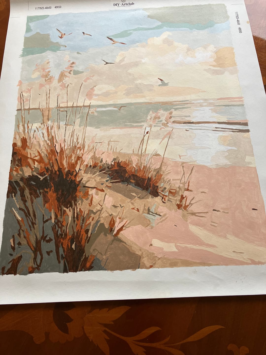 Customer photo review of Golden Dunes | Paint by Number