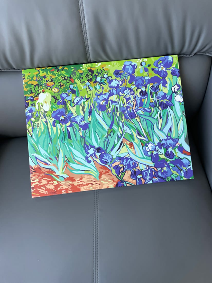 Customer photo review of Van Gogh Iris
