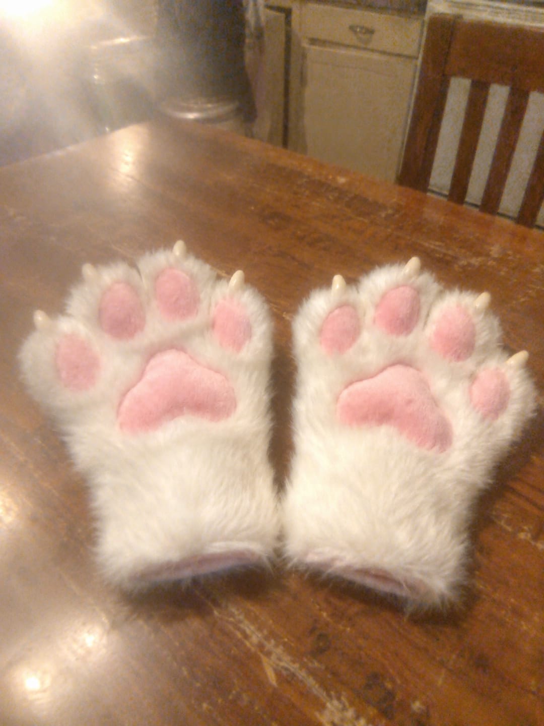 Customer photo review of Cozy Cat Paw Gloves