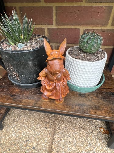 Customer's Lady Clementine rabbit statue in rust-finished cast iron, placed on a wooden stand between two potted plants.