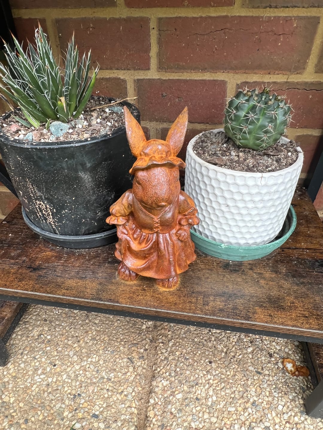 Customer photo review of Lady Clementine French Provincial Rabbit Statue in a Bonnet, Natural Rust Cast Iron 20cm