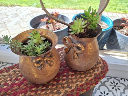 Customer's Noel Antique Gold Bow Vase set, each containing a small succulent on a textured surface.