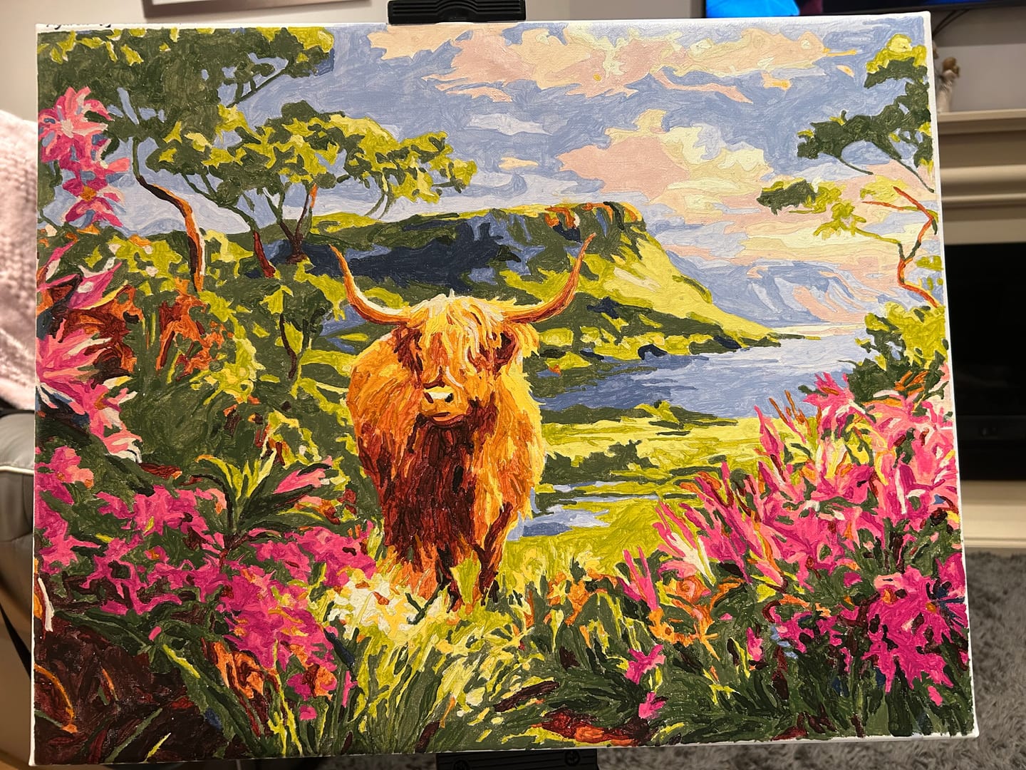 Customer photo review of Vache Highland et vallée printanière