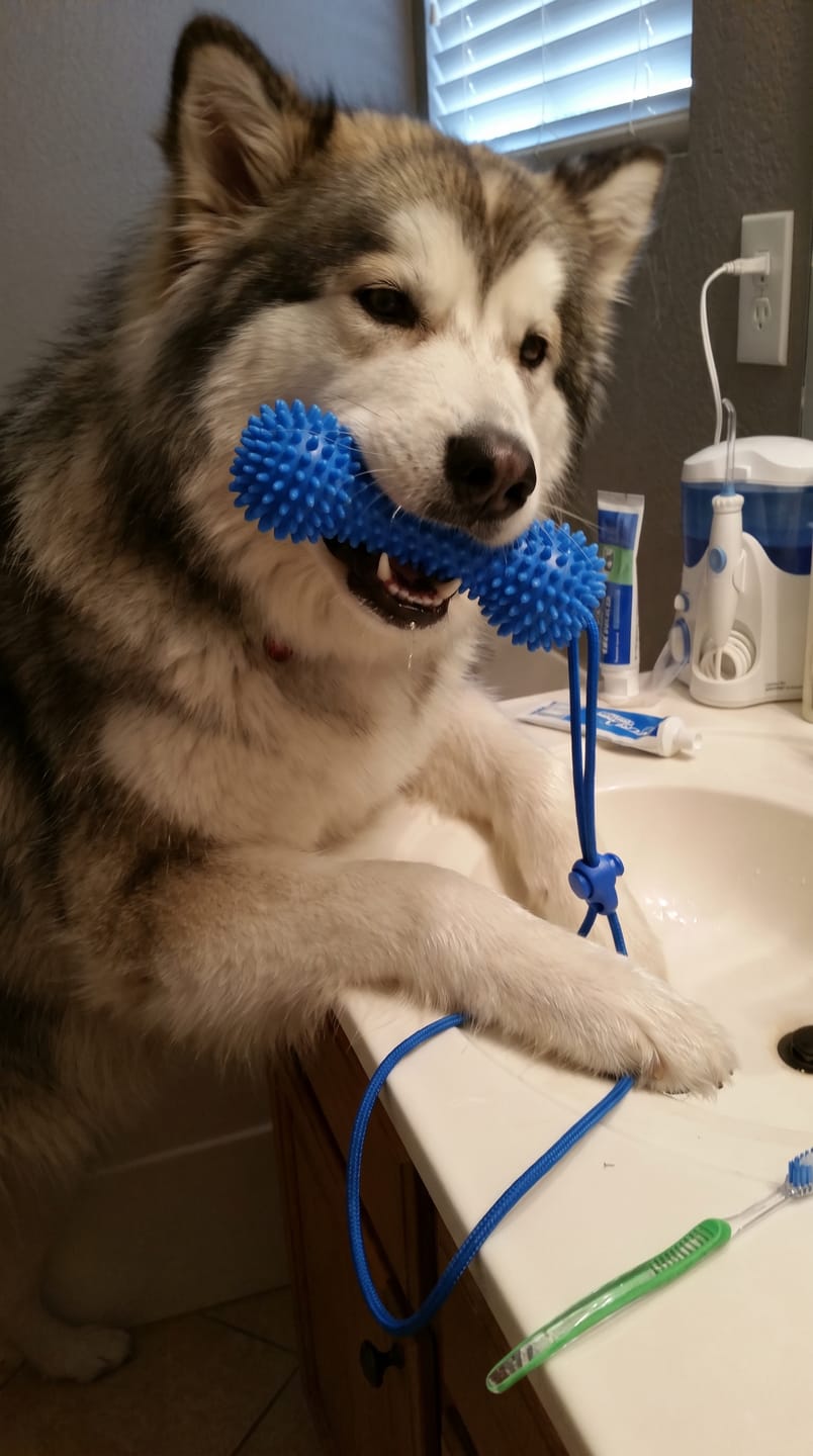 Customer photo review of Muffly™ Dental Bone – Cleans Teeth & Fresh Breath