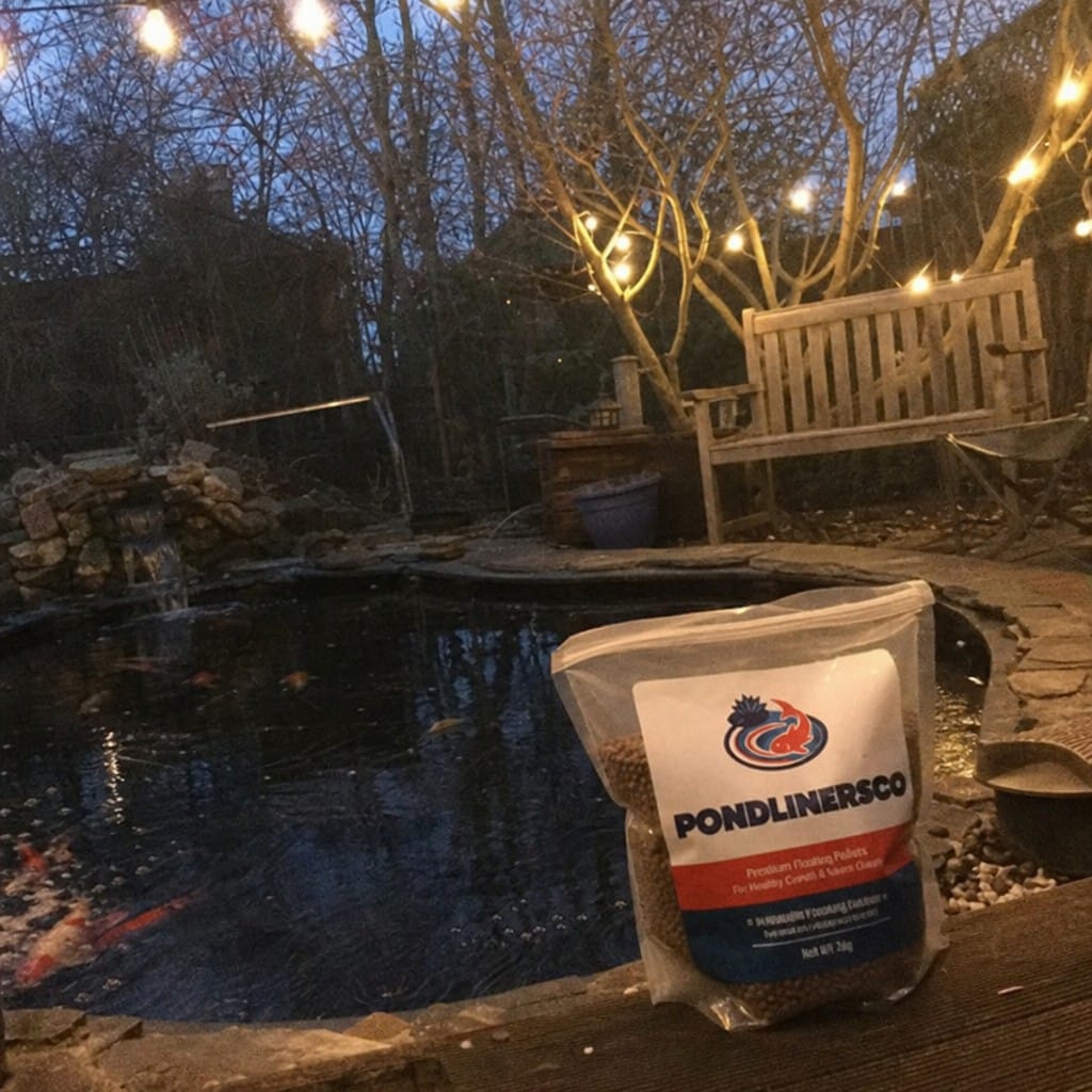 Customer photo review of Winter Koi Pond Food UK | Wheatgerm Floating Pellets | Easy to Digest | Cold Water Formula