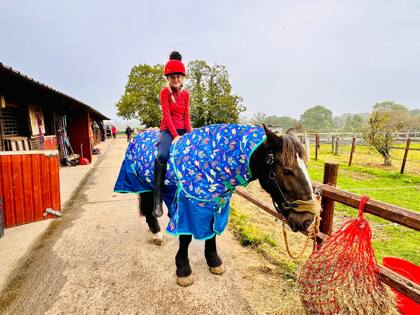 Customer photo review of Thunderstruck Turnout Rug