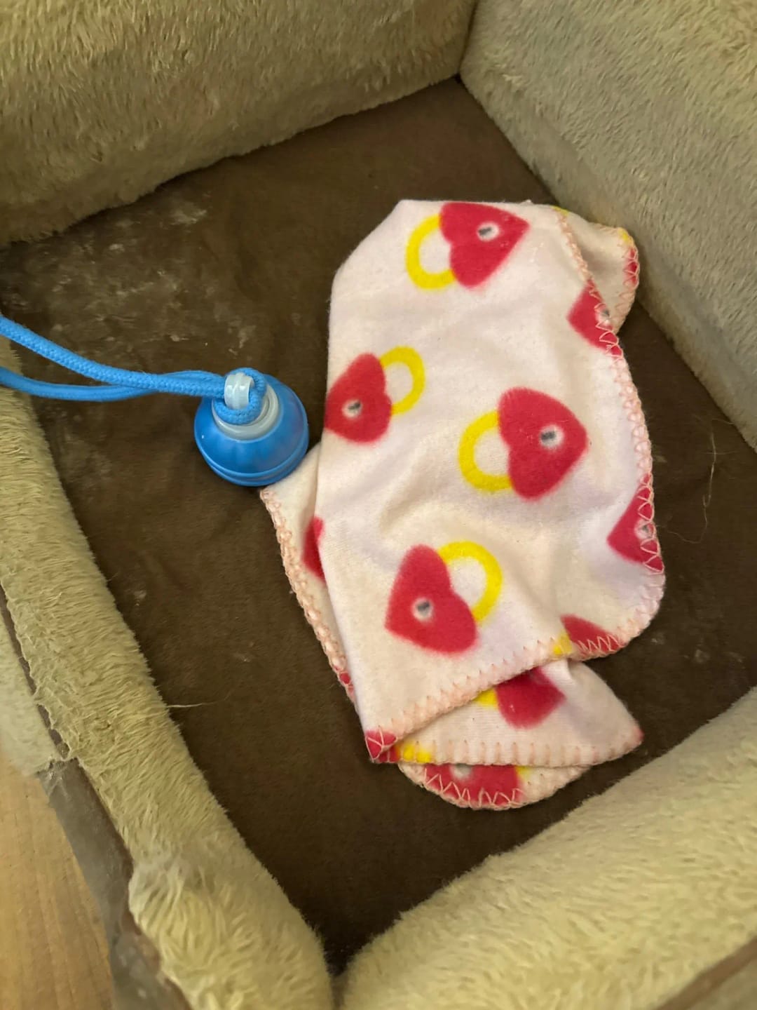 Customer photo review of Motion Activated Rolling Dog Ball Toy with Rope