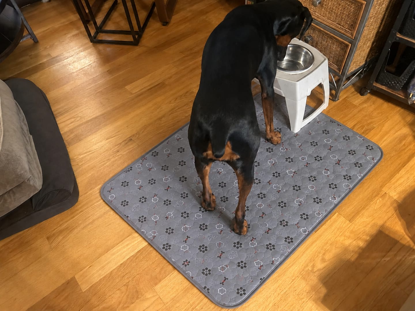 Customer photo review of Pawloo™ Tapete Inteligente para Perros