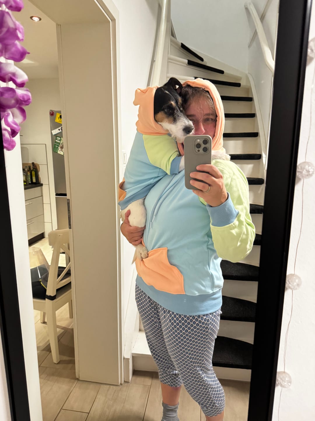 Customer photo review of Jelly Bean Dog Hoodie