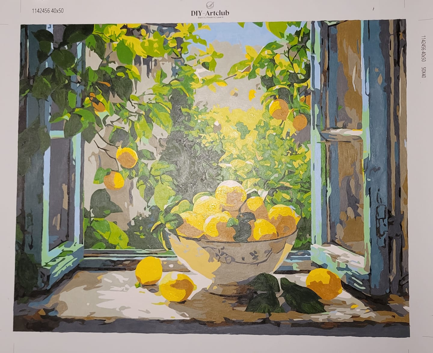 Customer photo review of Lemon Bowl by the Window | Paint by Number