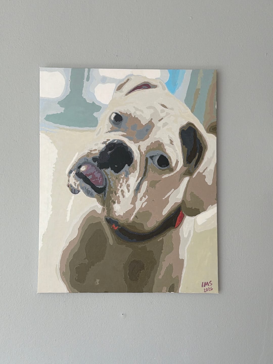 Customer photo review of Paint Your Photo