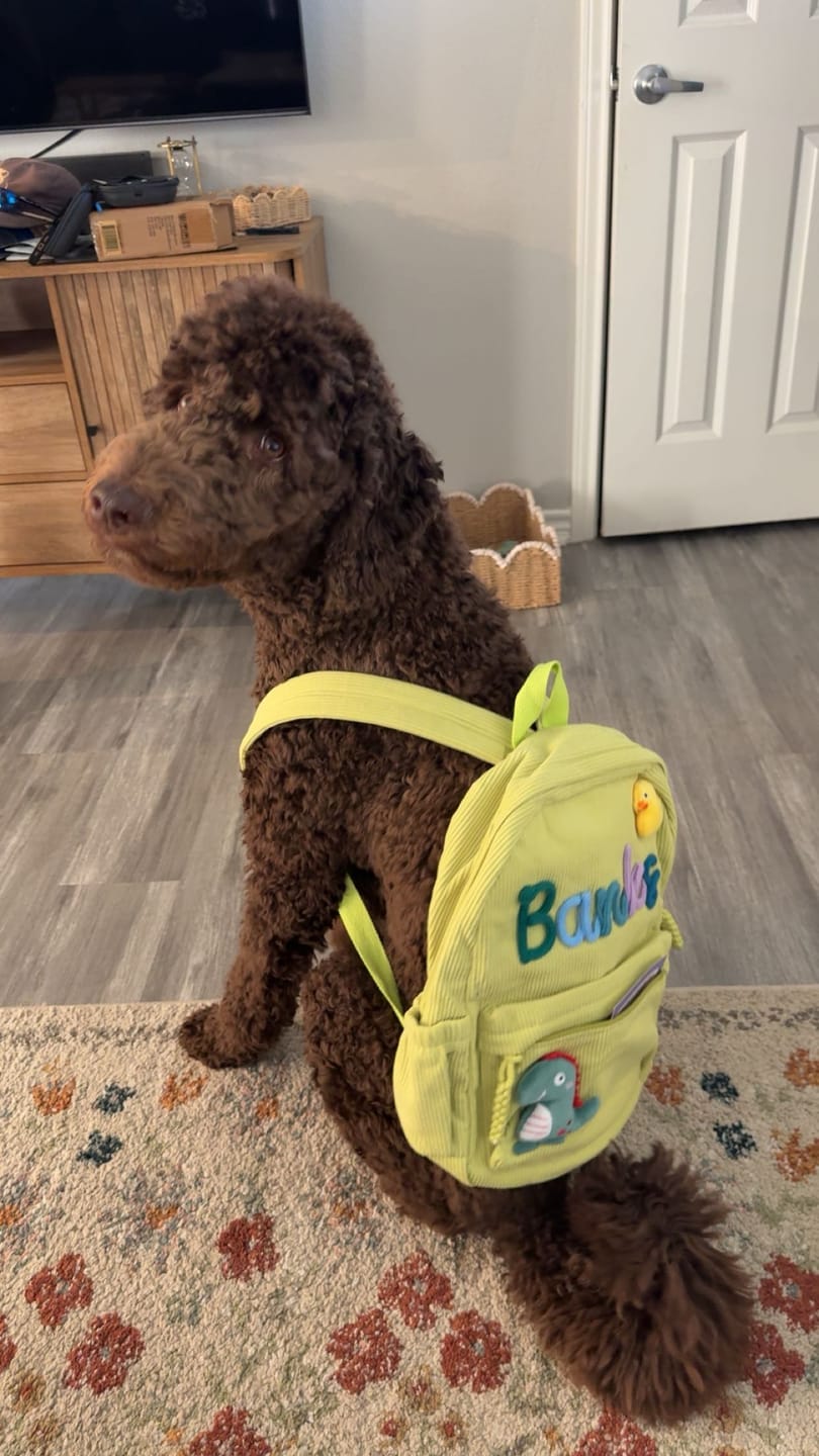 Customer photo review of Cute Elements