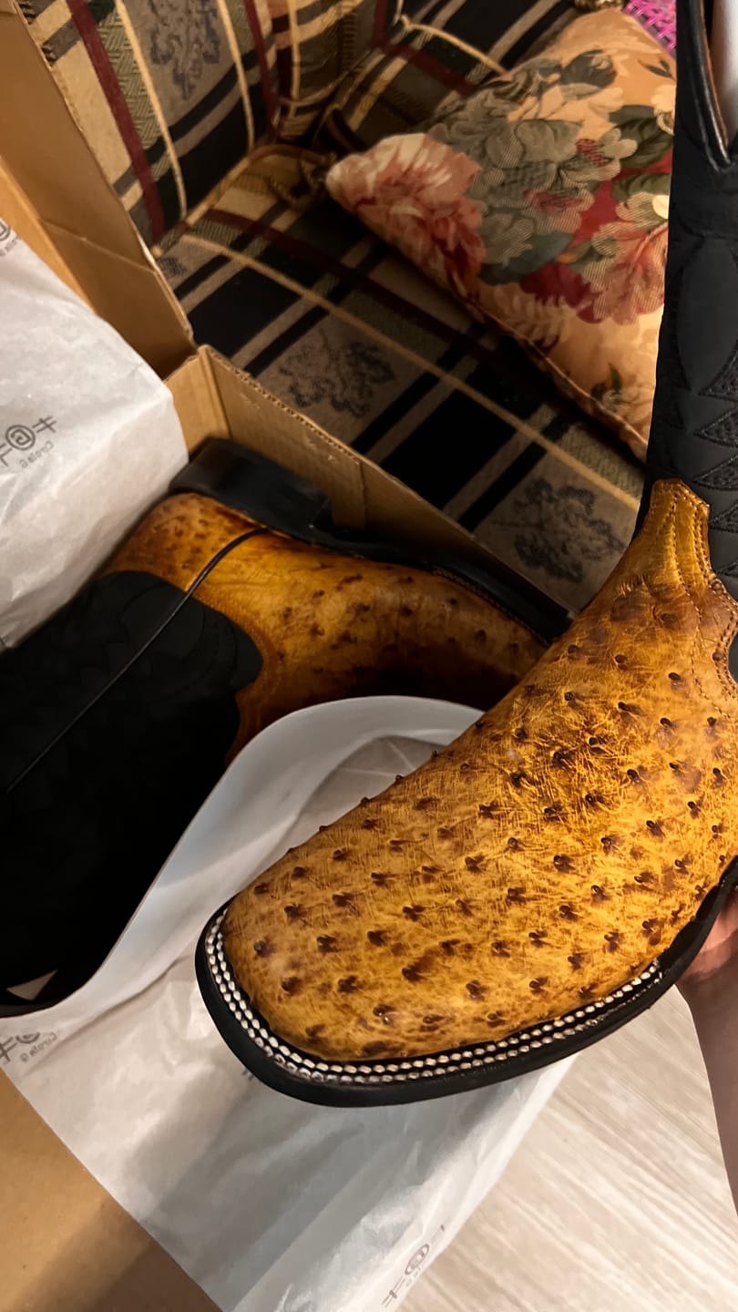 Customer photo review of Circle G by Corral Men's Black & Tan Ostrich Square Toe Boots L6051