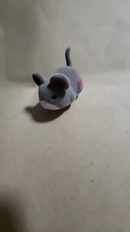 Customer photo review of Soft Touch Automatic Moving Mouse Cat Toy