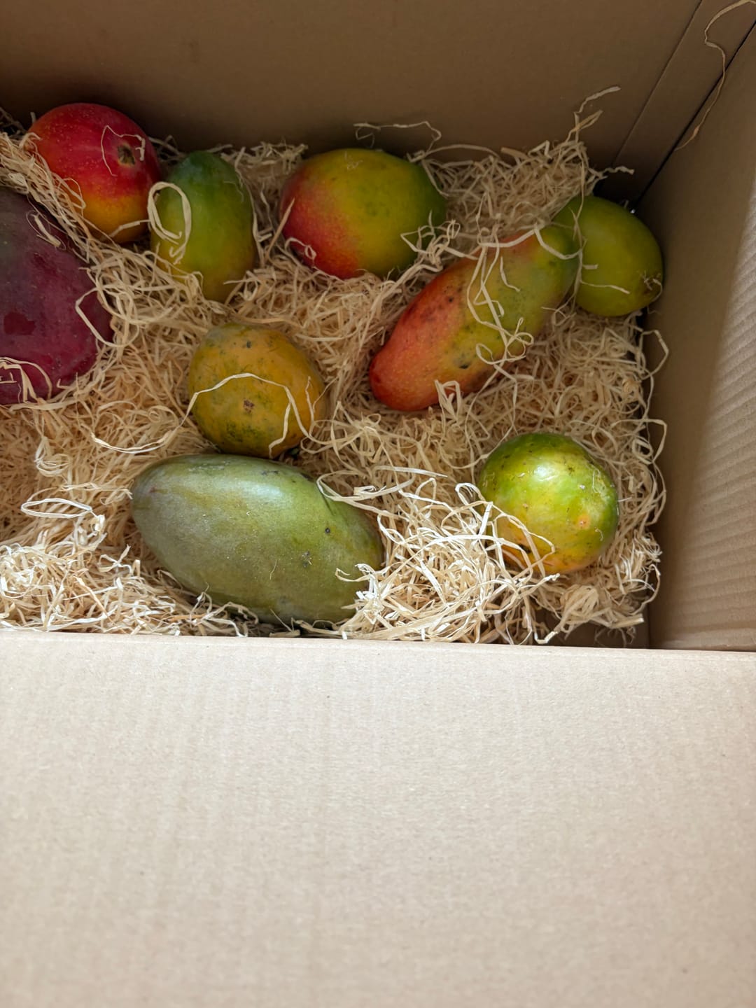 Customer photo review of Mango-Mix Bio von Julian 4kg Aktionspreis %