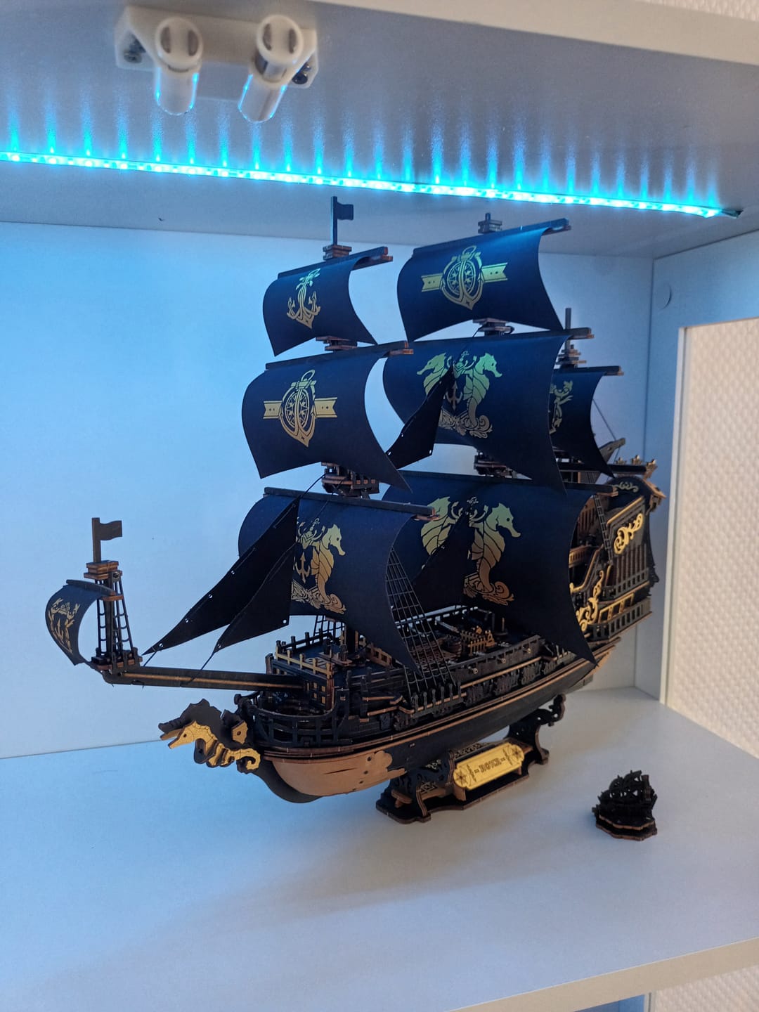 Customer photo review of 3D Puzzle - The Seahorse Barque
