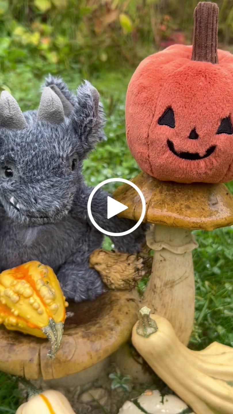 Customer video review of Ooky Jack O Lantern | Jellycat Halloween 2026