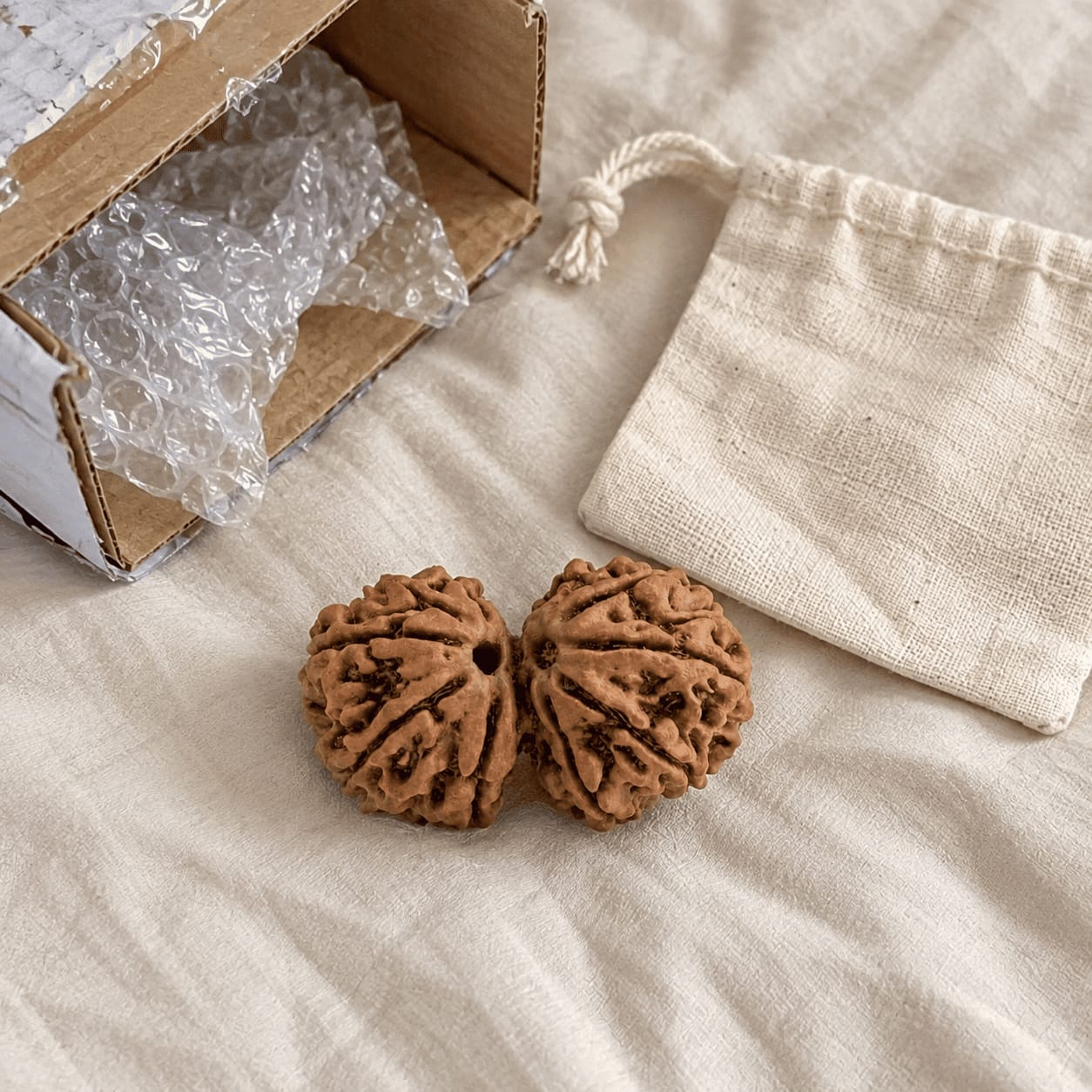 Customer photo review of Gauri Shankar Rudraksha (Nepali)