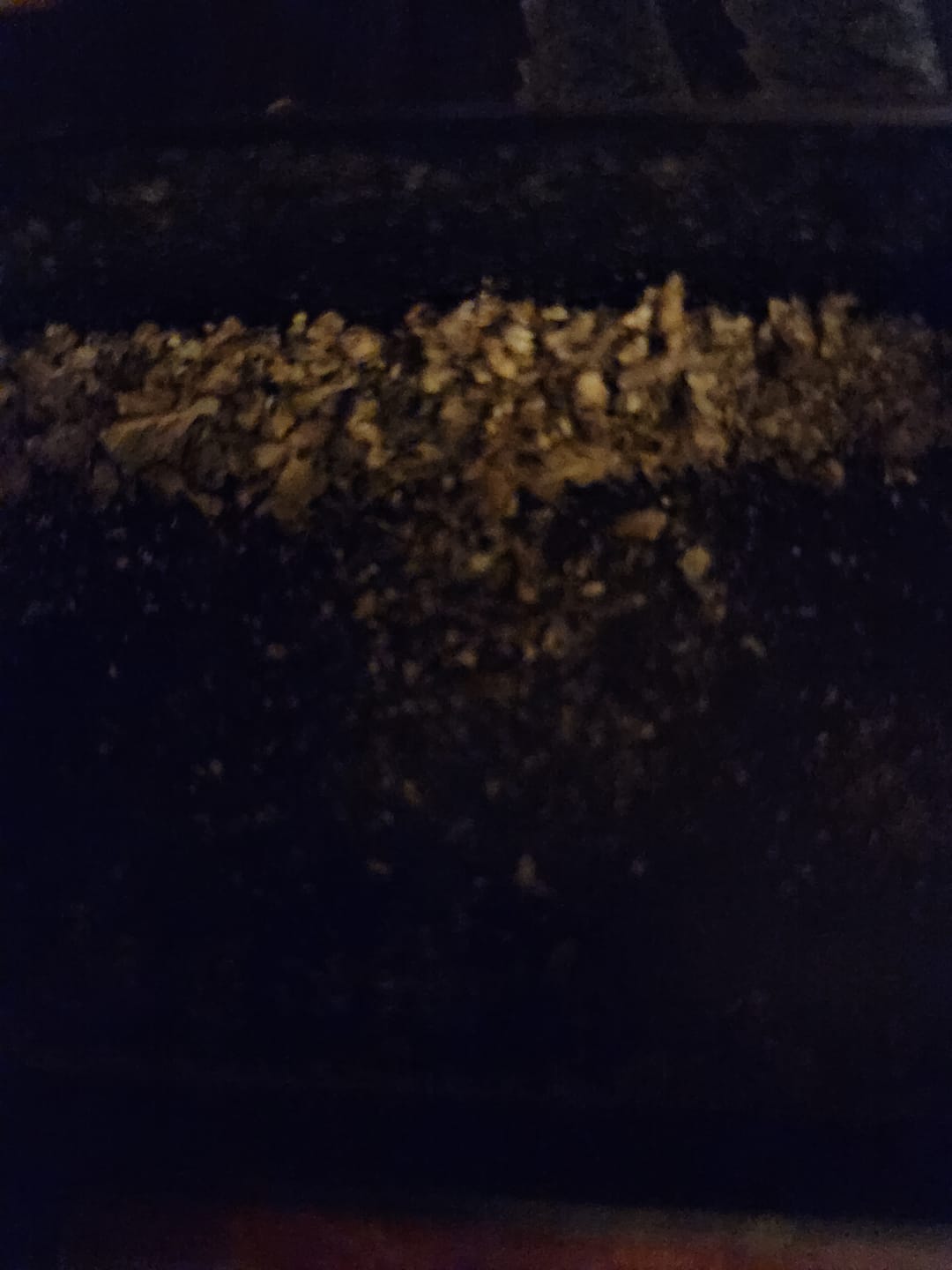 Customer photo review of White Widow MICROS - 28 Grams - Hybrid