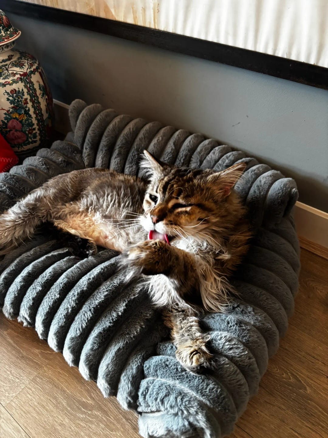 Customer photo review of Ribbed Plush Pet Sofa Bed for Cats and Dogs