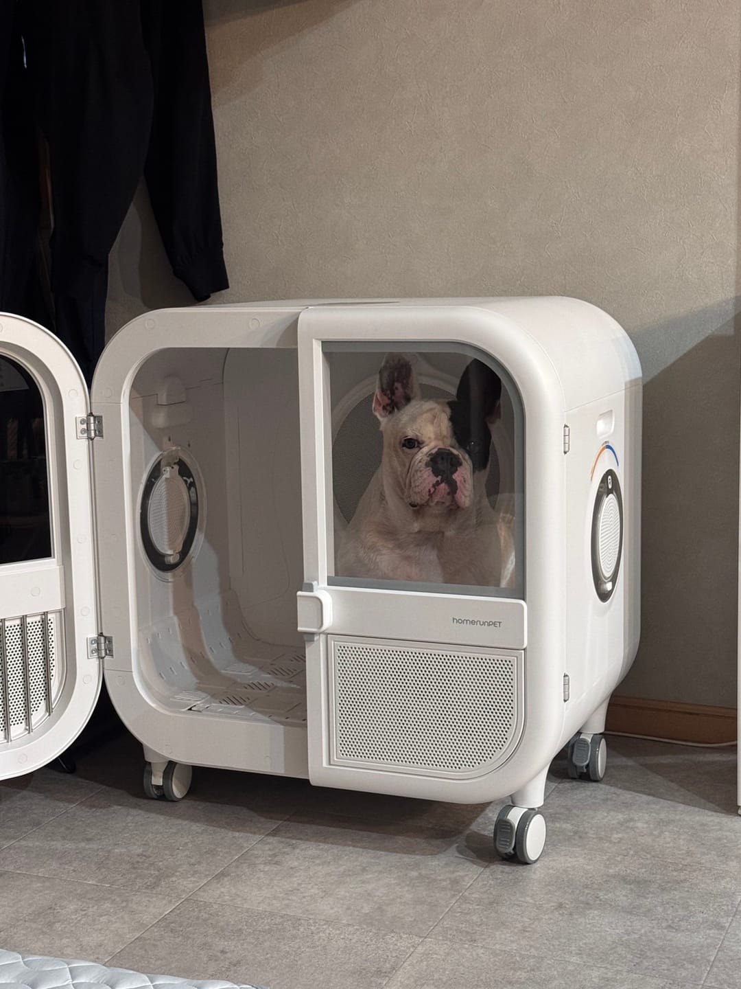 Customer photo review of homerunPET 「Drybo Ultra」ペットドライヤーハウス（9月中旬発送）