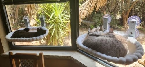Customer photo review of Reversible Cat Window Perch Bed with Suction Cups
