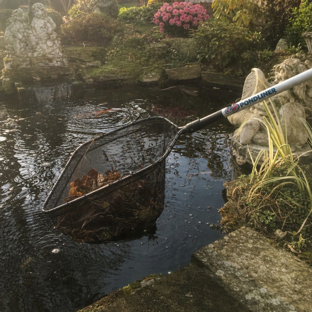 Customer photo review of Heavy Duty Pond Skimmer Net UK | Self-Repair Mesh | Long Handle | Leaves & Debris