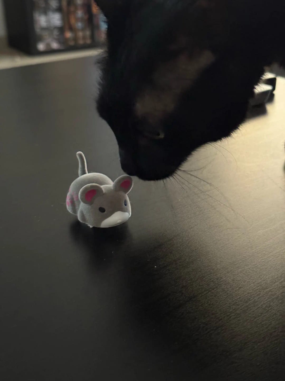 Customer photo review of Soft Touch Automatic Moving Mouse Cat Toy