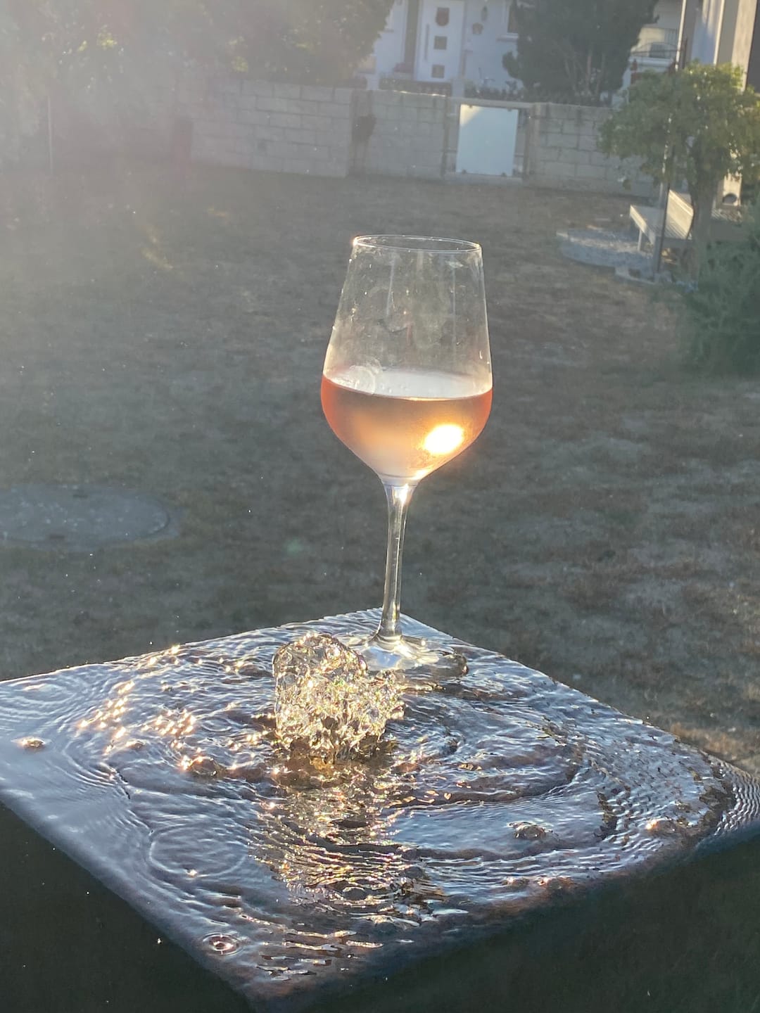 Customer photo review of CUVÉE ROSÉ