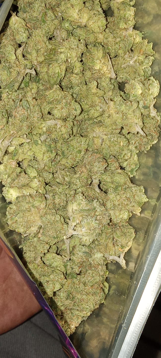 Customer photo review of Light Assist THCA Smalls