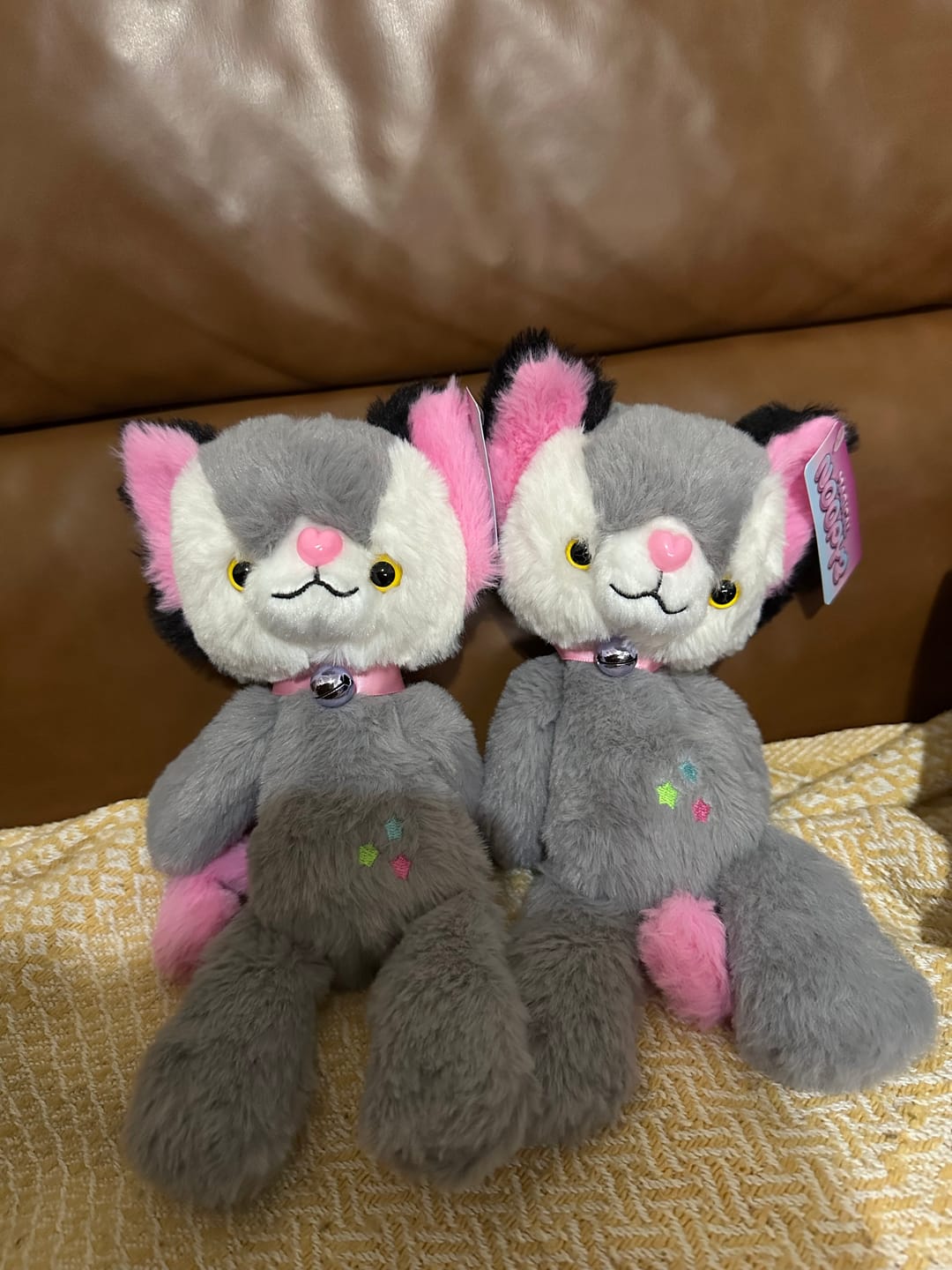 Customer photo review of Magical Noopy2 Plush - PORTER