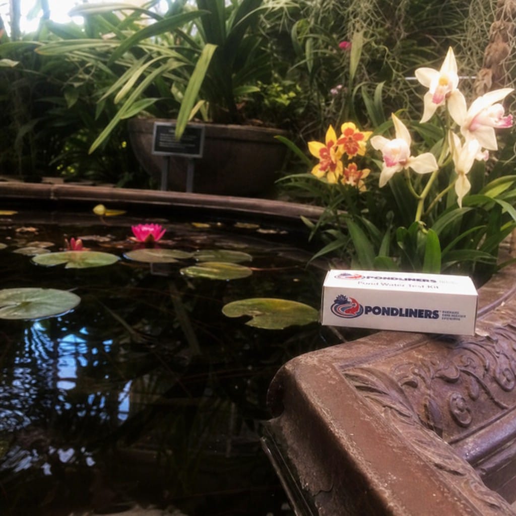 Customer photo review of Pond Water Test Kit UK | Tests pH, Ammonia, Nitrite & More | Koi & Garden Ponds