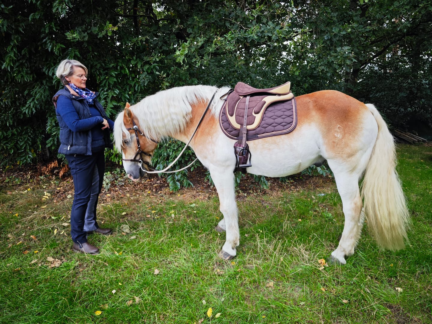 Customer photo review of Sattel Expert Pro - baumlos