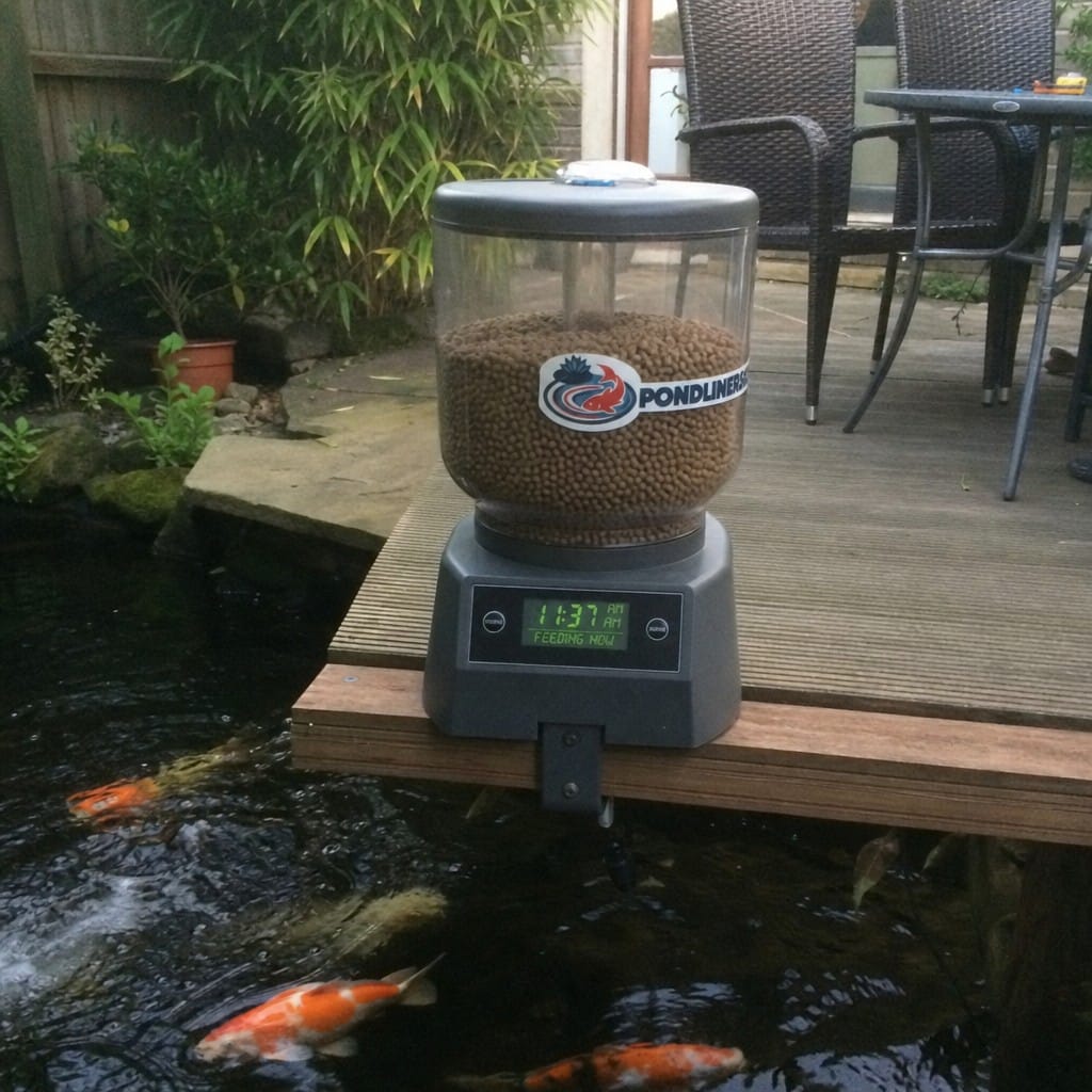 Customer photo review of Large Pond Fish Feeder UK | 4.5L Capacity | Timer Controlled | Moisture Proof | Koi Ponds