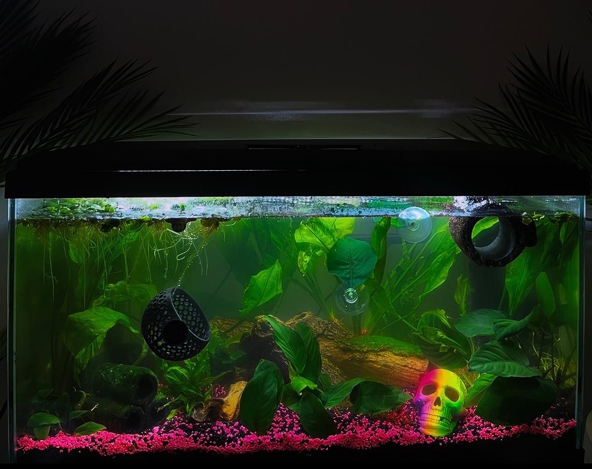 Customer photo review of Betta Cave Lounge Hammock - Aquarium Hideout Decor with Plant Holder