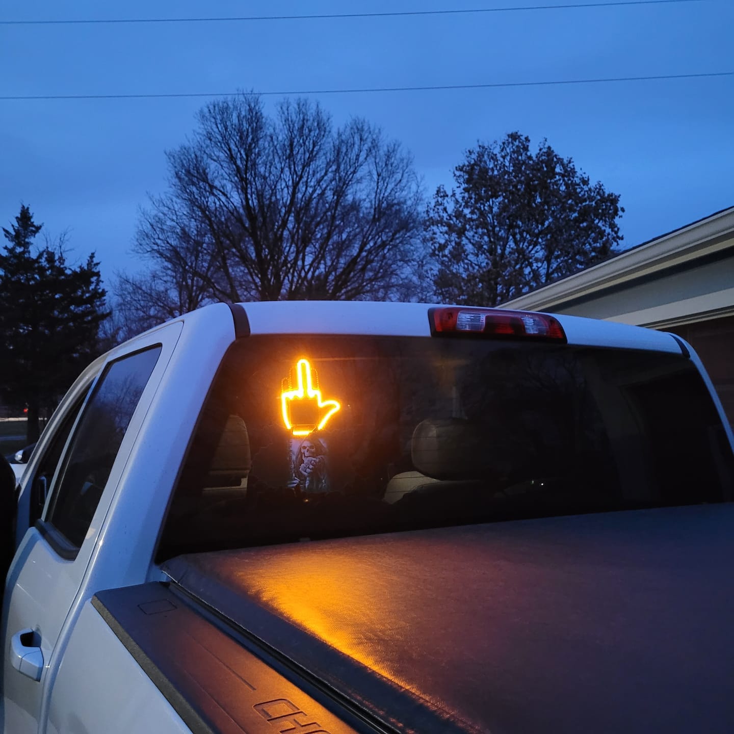 Customer photo review of BirdFlipper™ - Led Hand Sign